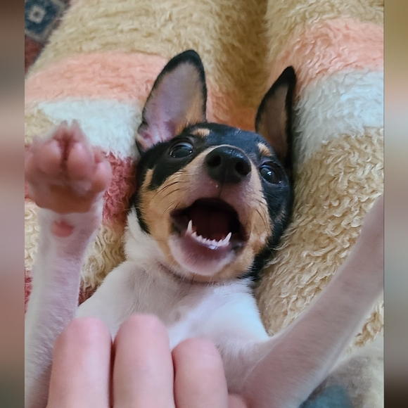 Meet your Posher, Tiff - Picture 11 of 16